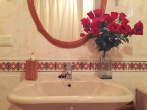 Las Cumbres I, baño planta baja
